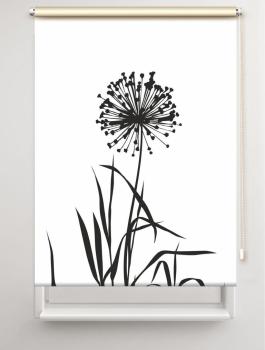 Rollo Allium 24 blanco schwarz, Rollo, Motivrollo, Rollo mit Druck, Fotorollo, bedrucktes Rollo, Fensterrollo,verdunkelndes Rollo, Sonnenschutz Rollo